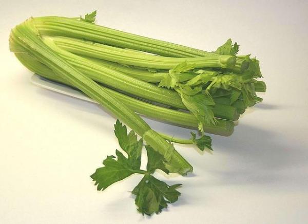 img how to lose weight with celery 563 600 - آیا می توان با خوردن کرفس لاغر شد؟