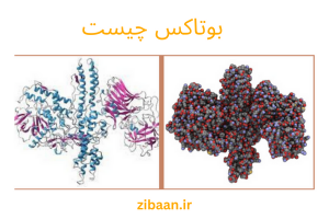 بوتاکس چیست