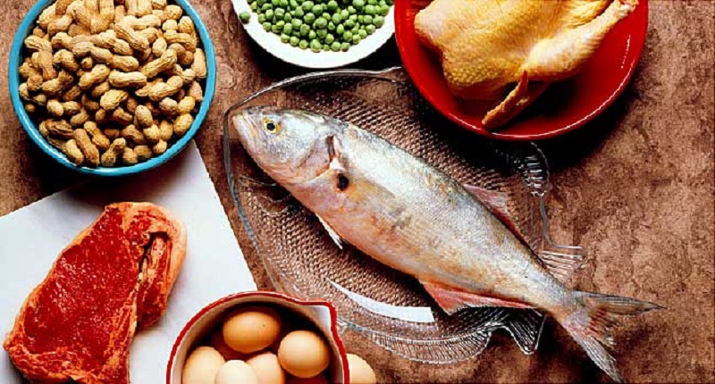 رژیم غذایی حاوی پروتئین 1 - عوارض رژیم های لاغری که باید جدی بگیرید!