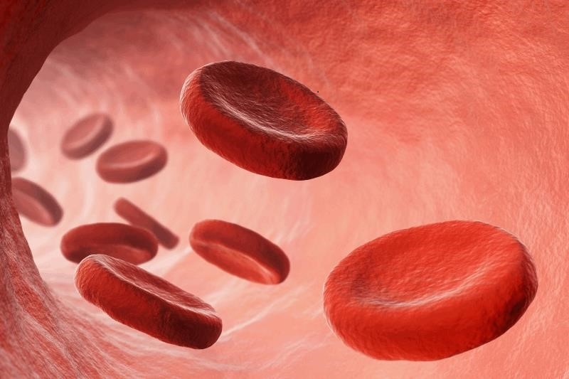 خونی 1 - عوامل ایجاد کننده کم خونی ناشی از فقر آهن