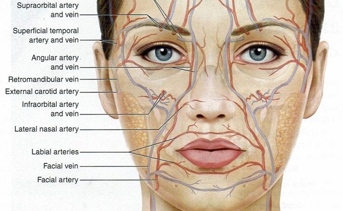 filler injection into face