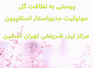نمونه تخفیف طلایی لیزر نت برگ تخفیفان